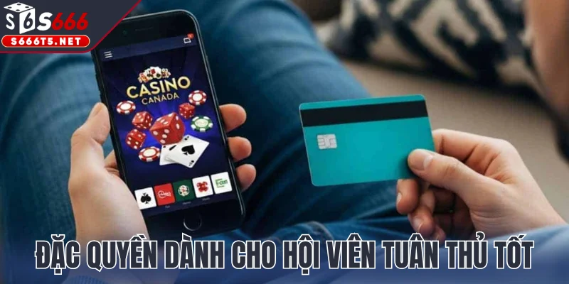 Những đặc quyền lợi ích dành cho hội viên tuân thủ tốt